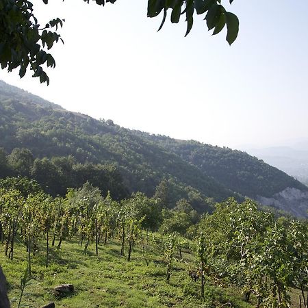 Fattoria Alvaneta Padula Εξωτερικό φωτογραφία
