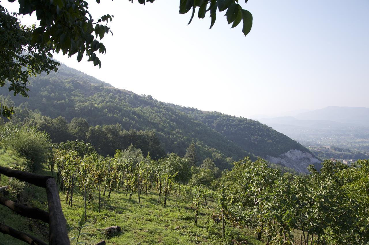 Fattoria Alvaneta Padula Εξωτερικό φωτογραφία