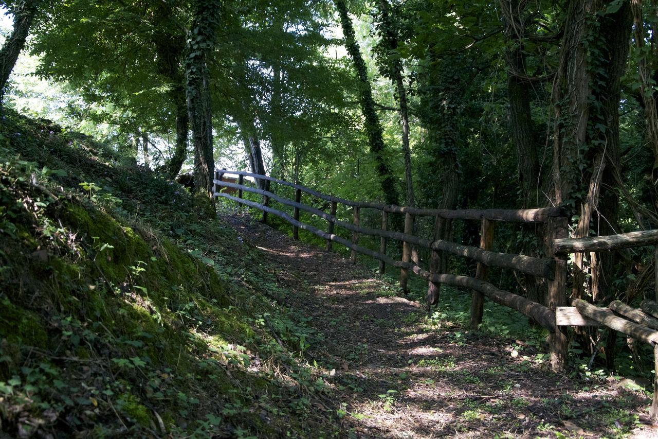 Fattoria Alvaneta Padula Εξωτερικό φωτογραφία