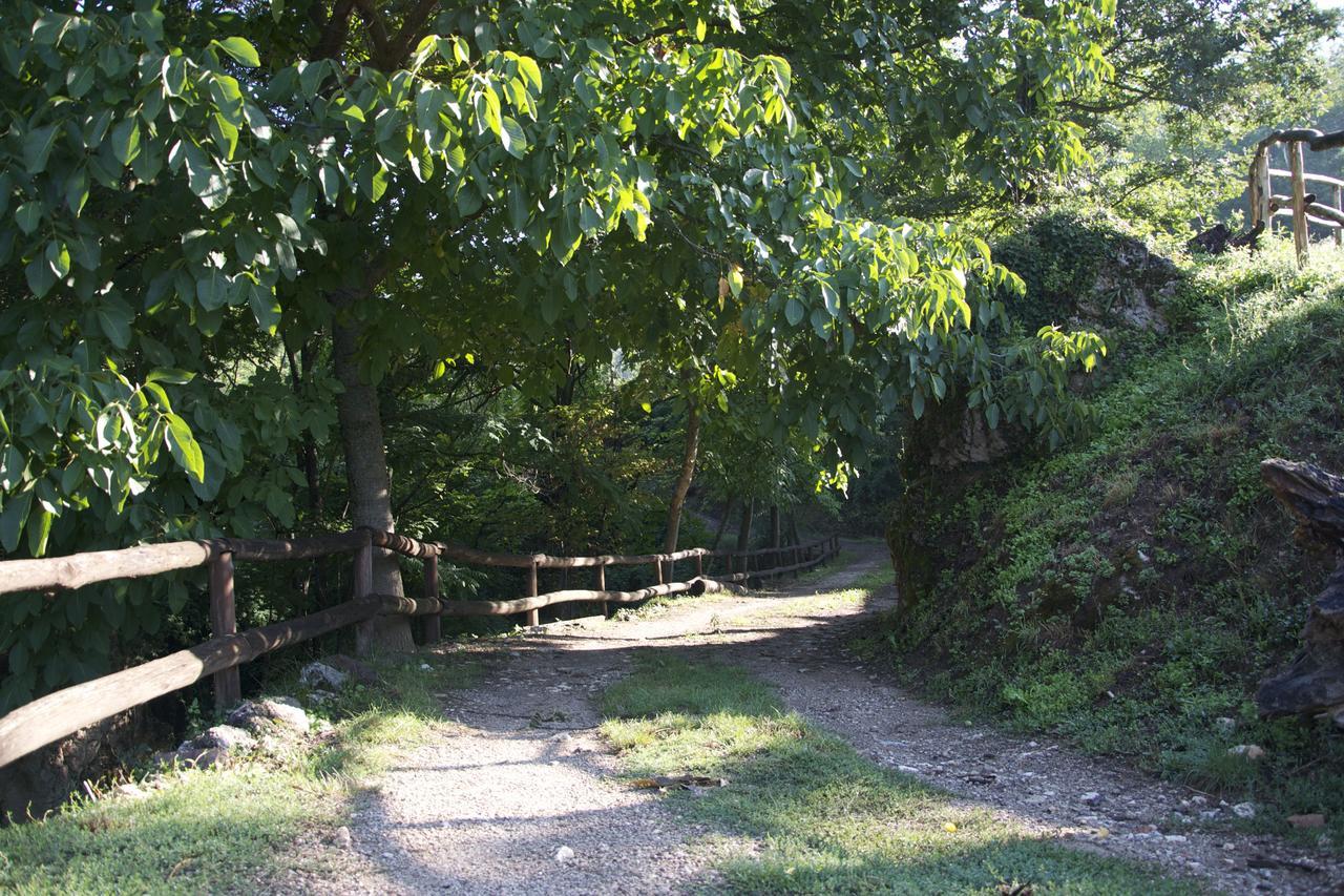 Fattoria Alvaneta Padula Εξωτερικό φωτογραφία