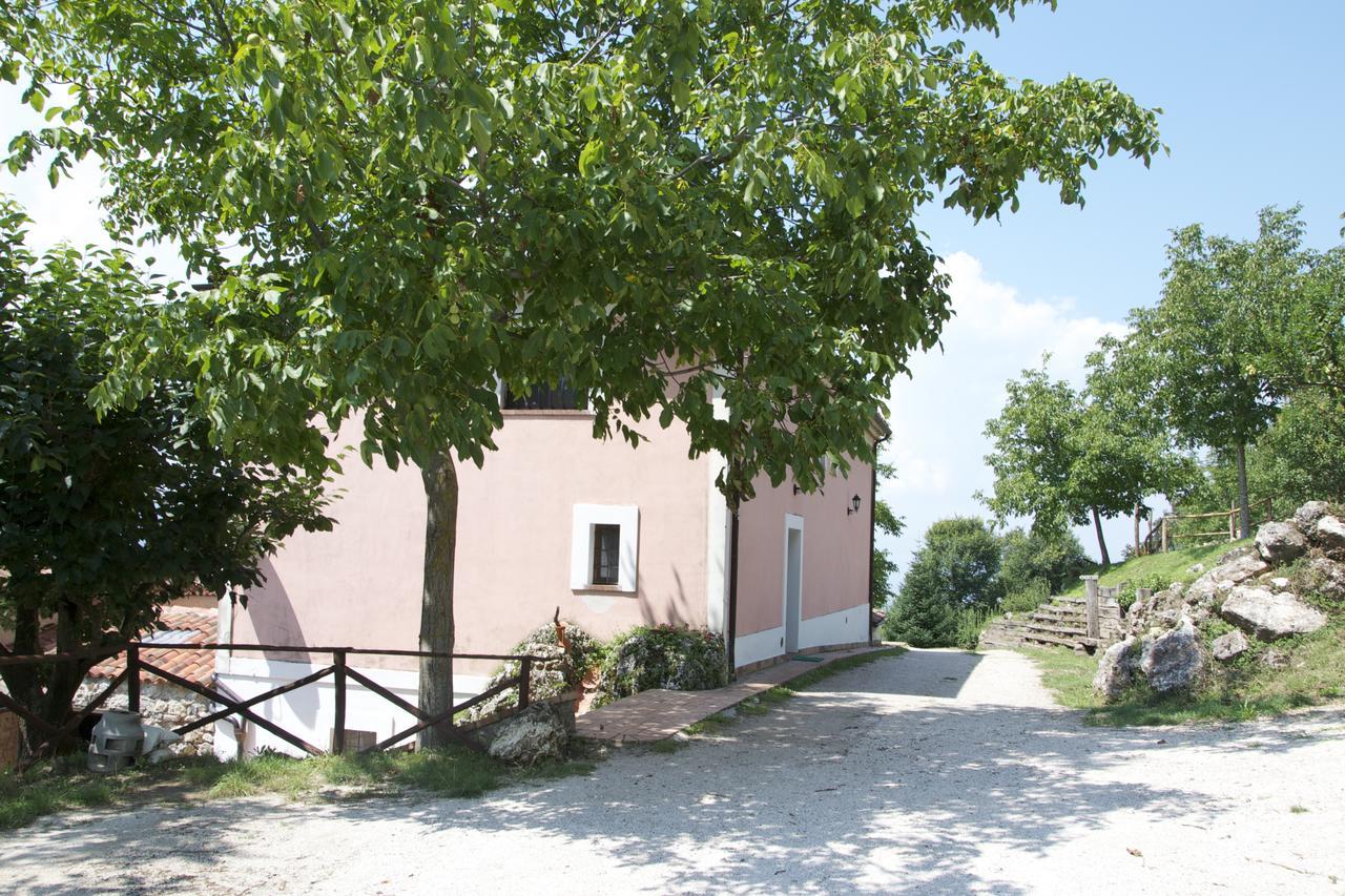 Fattoria Alvaneta Padula Εξωτερικό φωτογραφία