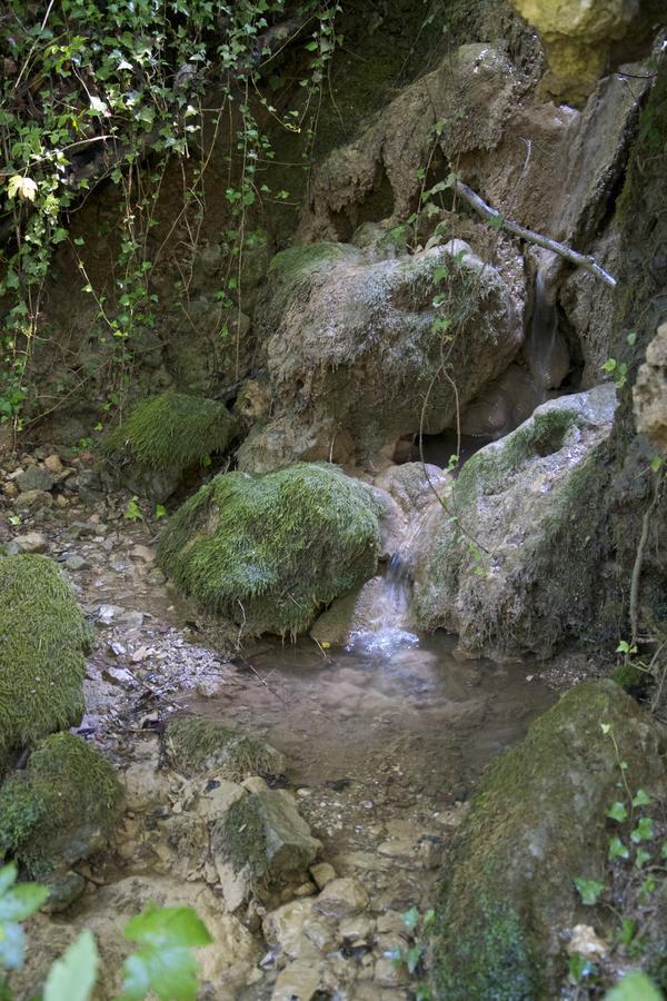 Fattoria Alvaneta Padula Εξωτερικό φωτογραφία